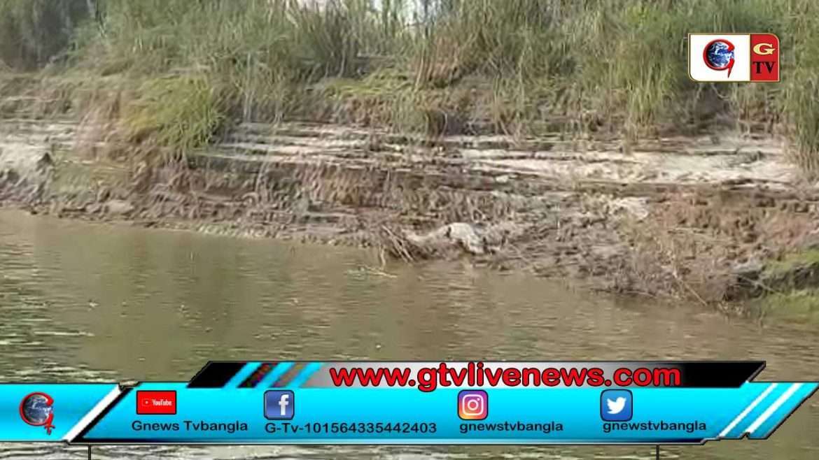 রানীনগরে দেখা গেলো কুমির