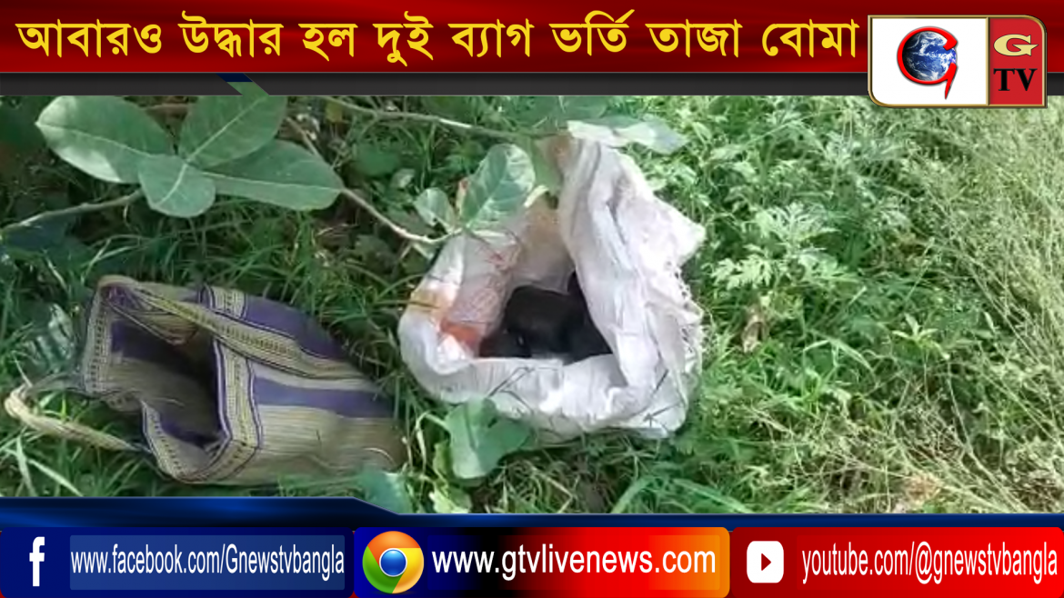 সামশেরগঞ্জের আমবাগান থেকে দুই ব্যাগ ভর্তি তাজা বোমা উদ্ধার