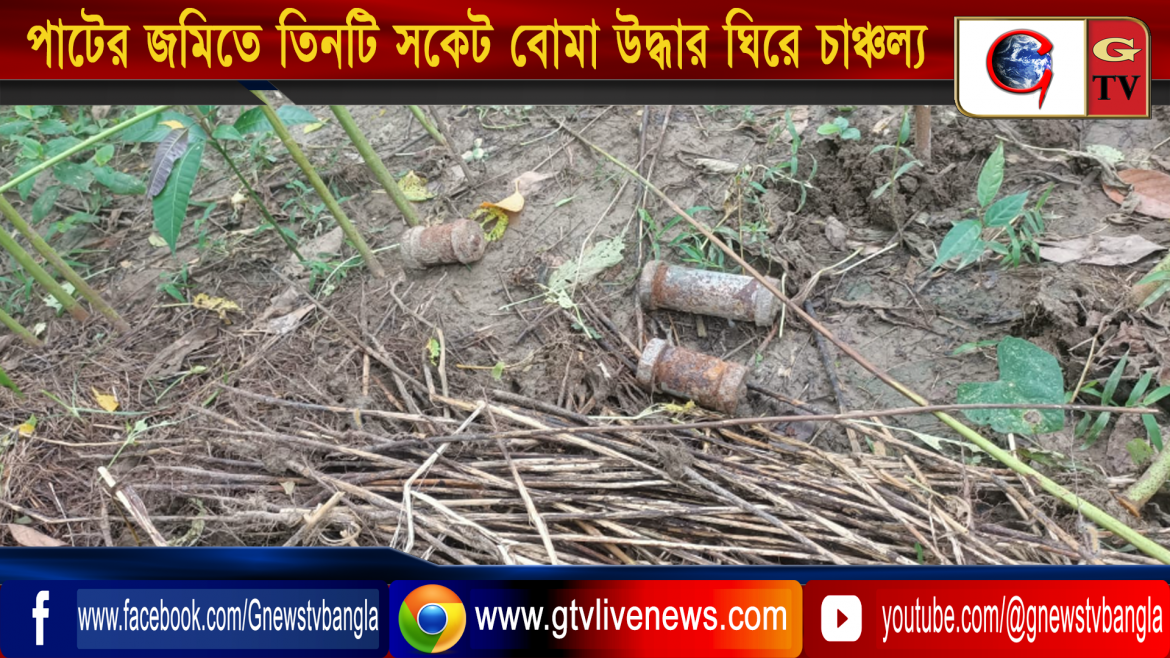 দৌলতাবাদ থানার গৌরীপুর এলাকায় পাটের জমিতে তিনটি সকেট বোমা উদ্ধার ঘিরে চাঞ্চল্য