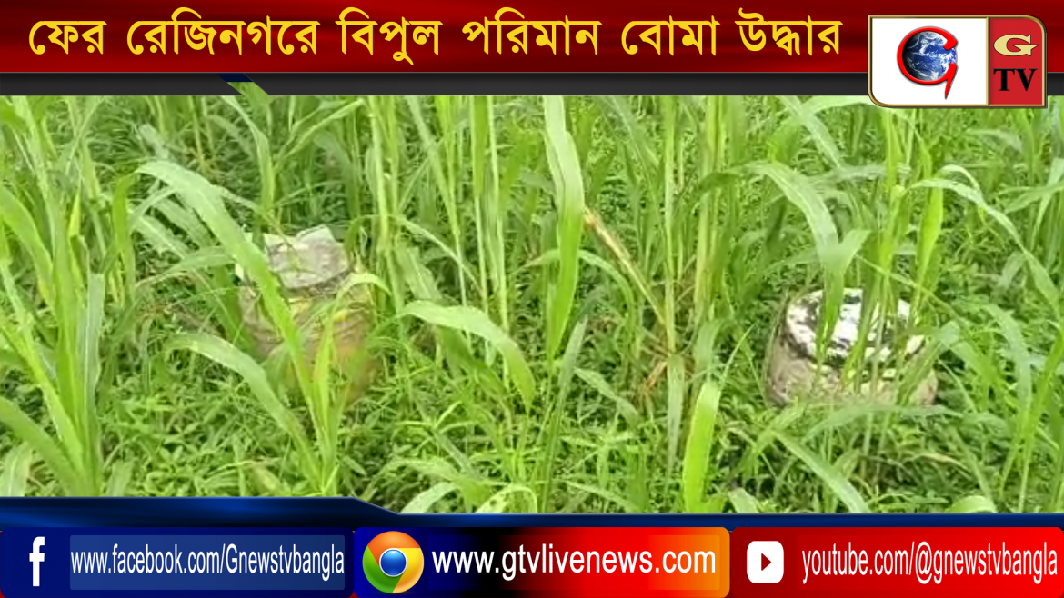 ভোটের ফল ঘোষনা হওয়ার পরেই ফের রেজিনগরে বিপুল পরিমান বোমা উদ্ধার