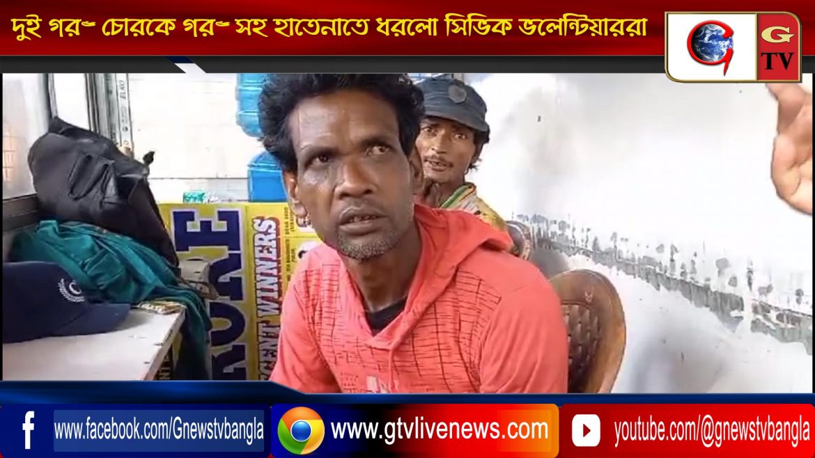 দুই গরু চোরকে গরু সহ হাতেনাতে ধরলো সিভিক ভলেন্টিয়াররা