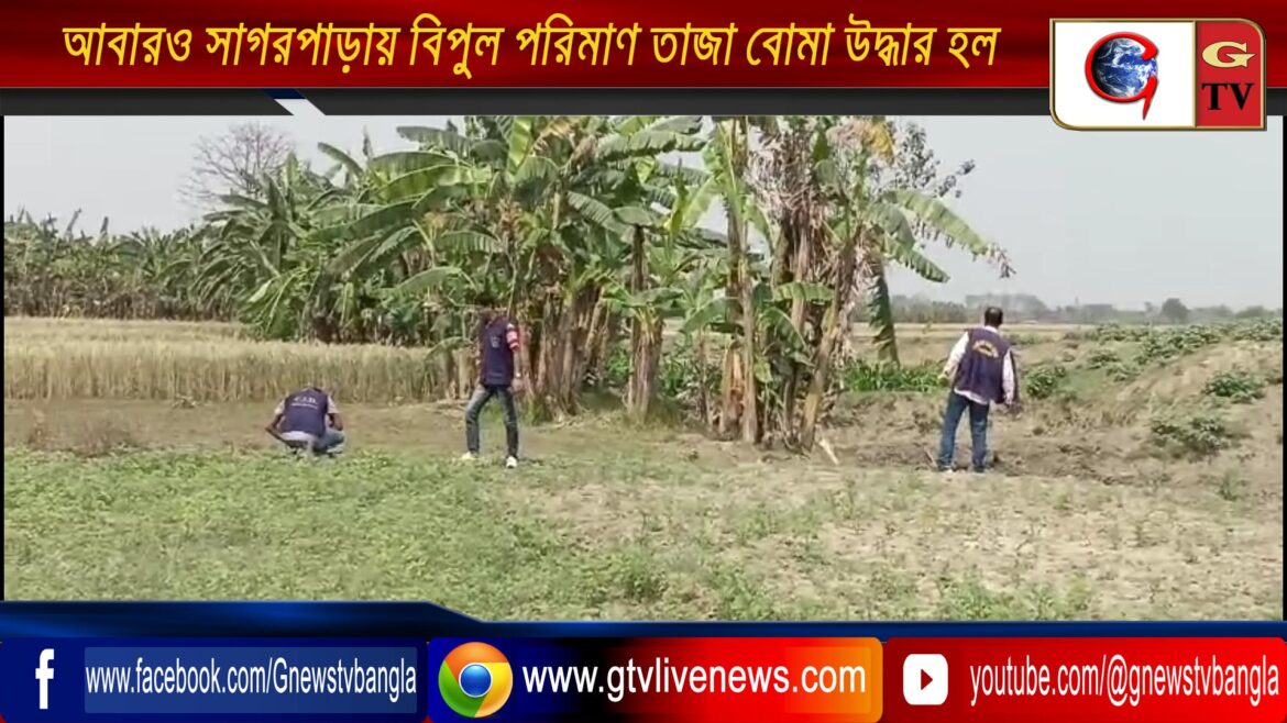 আবারও সাগরপাড়ায় বিপুল পরিমাণ তাজা বোমা উদ্ধার হল